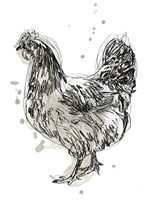 Feathered Fowl IV Framed Print