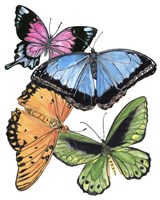 Butterfly Swatches III Framed Print