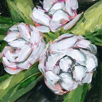 Summer Bride IV Framed Print