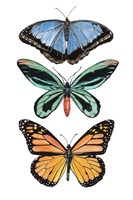 Falling From II Framed Print