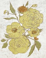 Barkcloth II Fine Art Print