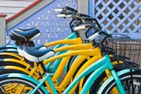 Bicycles in Front of a Porch, Cape May, NJ Fine Art Print