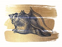 Brushed Gold Seashell Fine Art Print