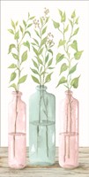Pastel Leaves in Jars Fine Art Print
