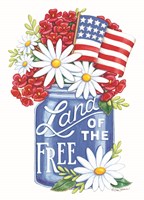 Land of the Free Blue Mason Jar Fine Art Print