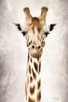 Geri the Giraffe Up Close Fine Art Print