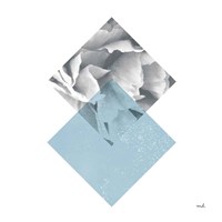 Blossoms III Fine Art Print