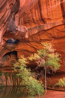 Neon Canyon III Fine Art Print