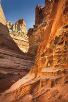 Crack Canyon II Fine Art Print