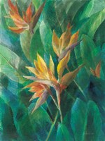 Bird of Paradise II Fine Art Print