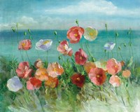 Coastal Poppies Fine Art Print