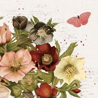 Vintage Petals III Fine Art Print