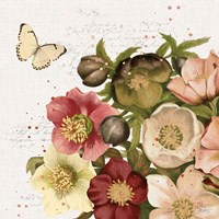 Vintage Petals II Fine Art Print