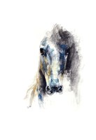 Alert V Fine Art Print