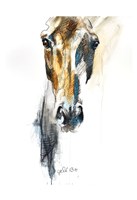 Alert VIII Fine Art Print