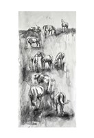 Equine Life 4 Fine Art Print