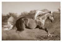 Platinum Centerfold (sepia) Fine Art Print