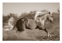 Platinum Centerfold (sepia) Fine Art Print