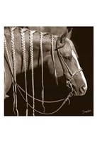 Braided Fine Art Print