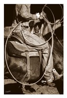 Best Seat in the House Fine Art Print