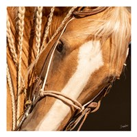 Palomino n Vogue Fine Art Print
