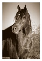 China Fine Art Print