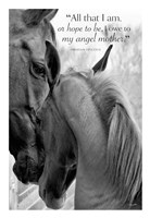 Cheers n' Foal (All that I am...) Fine Art Print