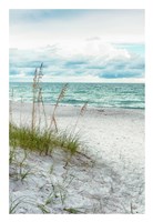 Beach Secrets Fine Art Print
