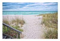 Calling Me Fine Art Print