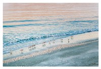 Early Birds Fine Art Print