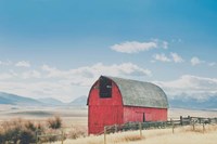 Wood and Nails Fine Art Print