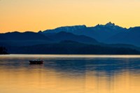 Golden Glow Fine Art Print