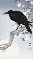 Crow at Full Moon, 1900-1930 Fine Art Print