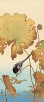 Japanese Wagtail on Lotus Plant, 1925-1936 Fine Art Print