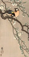 Songbirds on Cherry Branch, 1900-1910 Fine Art Print