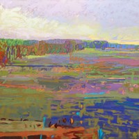 Color Field 24 Fine Art Print