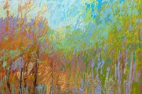 Color Field 55 Fine Art Print