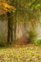 Poetree Fine Art Print