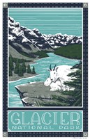 Glacier National Parks Fine Art Print