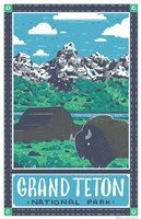 Grand Teton National Park Fine Art Print