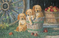 Bucket Seat Fine Art Print