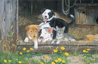 Best Of Friends Fine Art Print