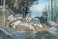 Watchful Eyes Fine Art Print