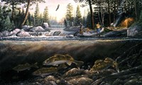 Fishing The Falls Fine Art Print