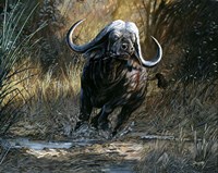 416 Express Fine Art Print