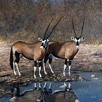 At The Waterhole Fine Art Print