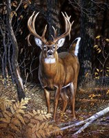 Bad Attitude Fine Art Print