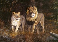 Haunters Of The Thornbush Fine Art Print