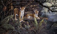 Jaguars Fine Art Print