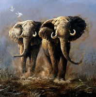 Not Enough Gun Fine Art Print